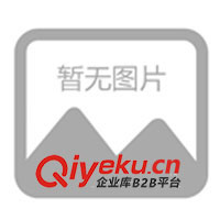 09年春夏運(yùn)動(dòng)時(shí)尚，休閑情侶裝，征全國(guó)各地批發(fā)商。